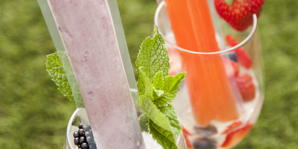 Boozy Icy Popcicle Zipzicles