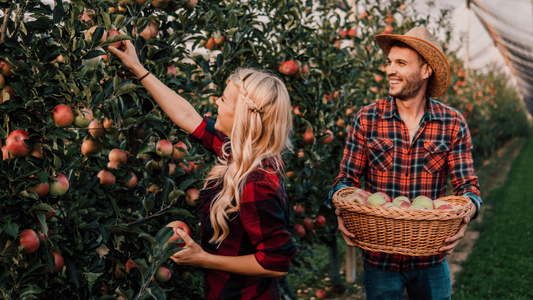 A Perfect Fall Date Night: Apple Picking at Your Local Orchard